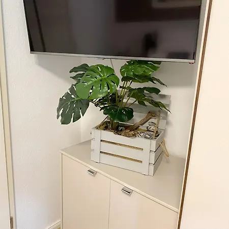 Apartment Haus 